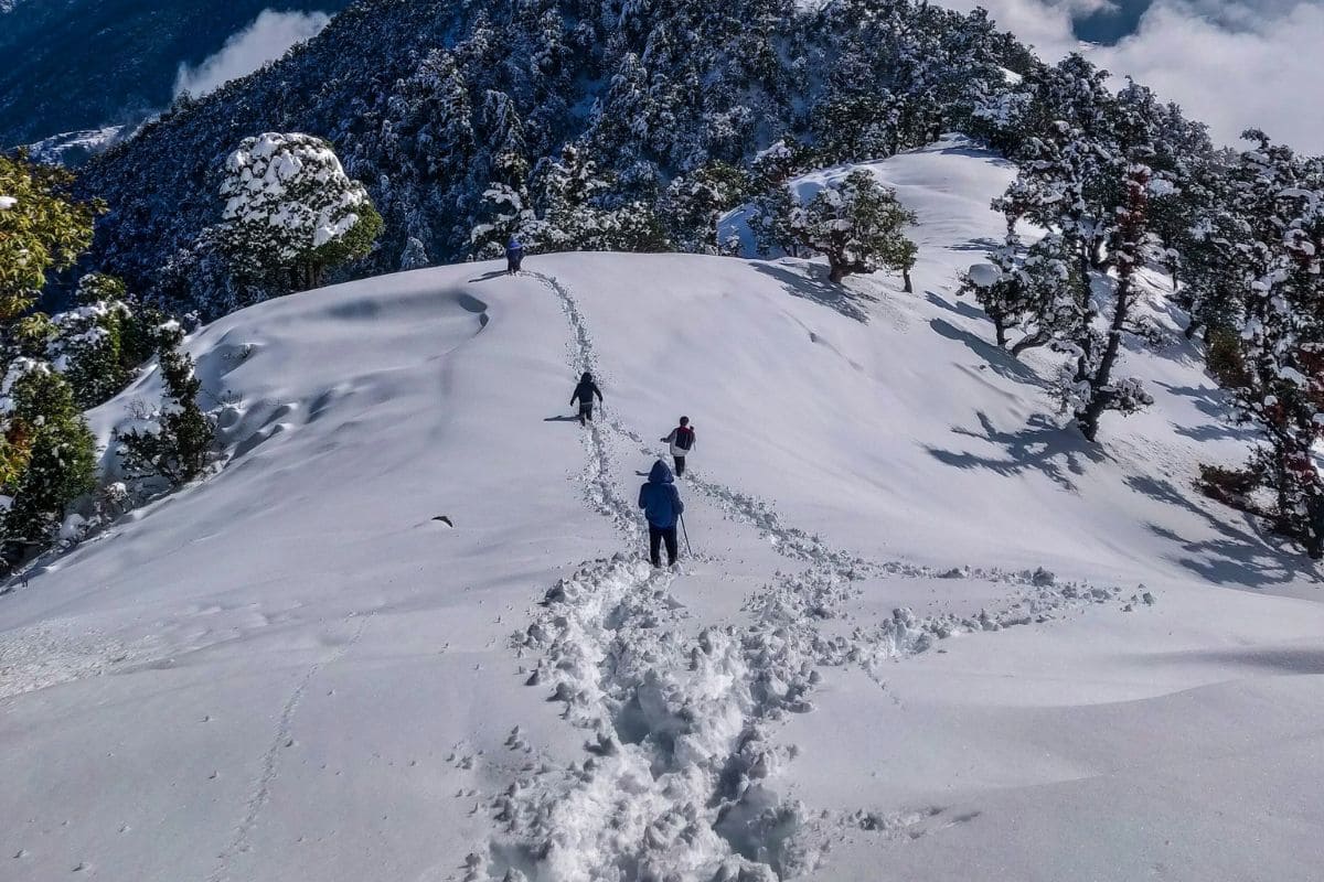 Brahmatal Trek 
The Himalayan Experience